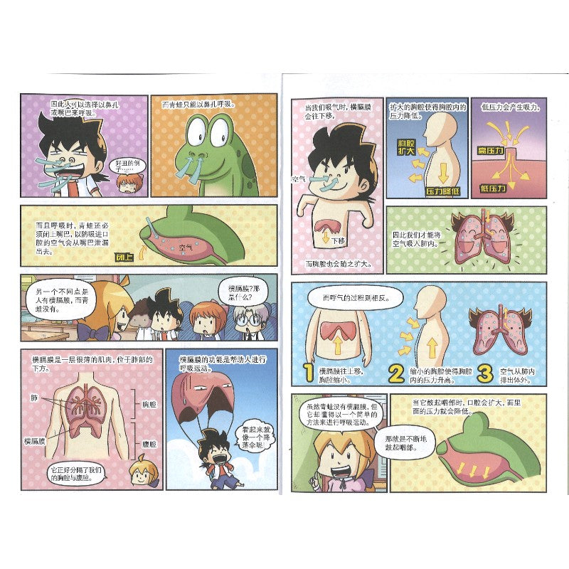 原来如此!10. 铅笔的由来 9787312060984 | Singapore Chinese Bookstore | Maha Yu Yi Pte Ltd