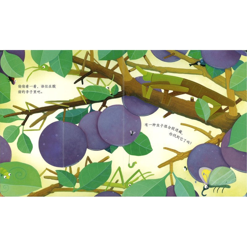 虫子的家 Peep Inside Bug Homes 9787544864497 | Singapore Chinese Bookstore | Maha Yu Yi Pte Ltd