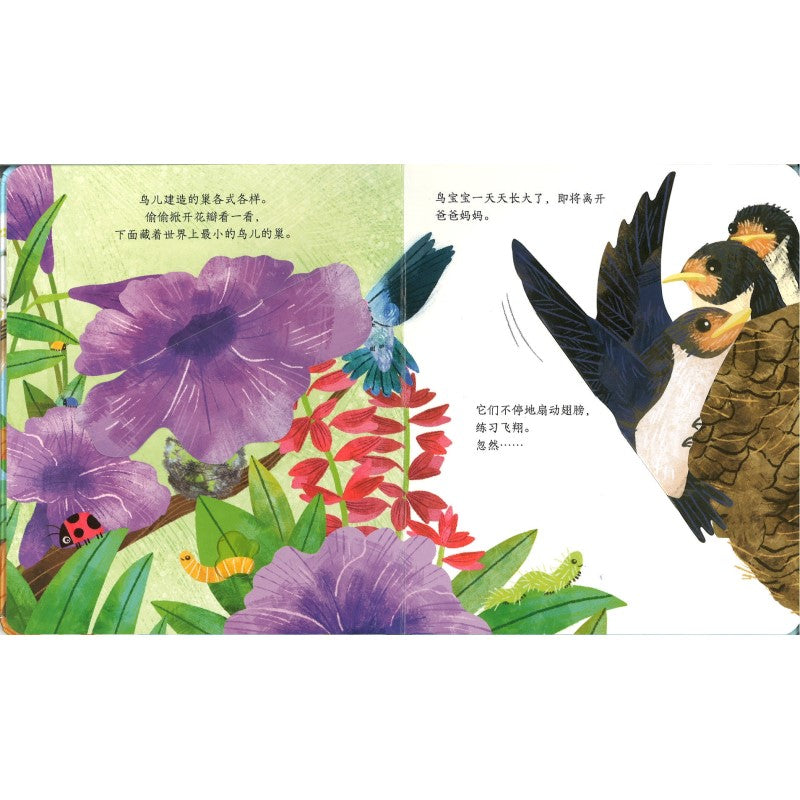 鸟儿的家 Peep Inside a Bird's Nest 9787544874656 | Singapore Chinese Bookstore | Maha Yu Yi Pte Ltd