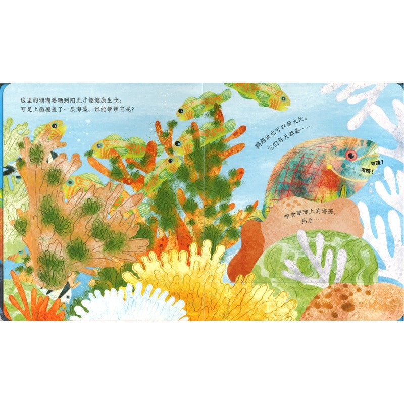 珊瑚世界 Peep Inside a Coral Reef 9787544874663 | Singapore Chinese Bookstore | Maha Yu Yi Pte Ltd