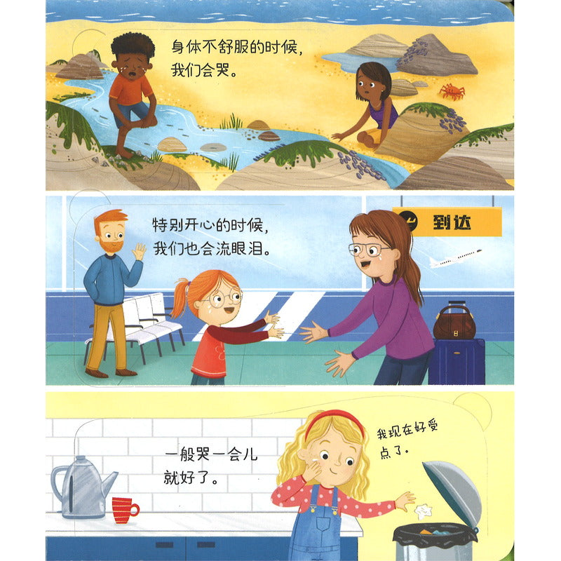 我的情绪问答书·很伤心怎么办? Lift-the-flap Very First Questions and Answers: Why do I (sometimes) Feel Sad? 9787544883719 | Singapore Chinese Bookstore | Maha Yu Yi Pte Ltd