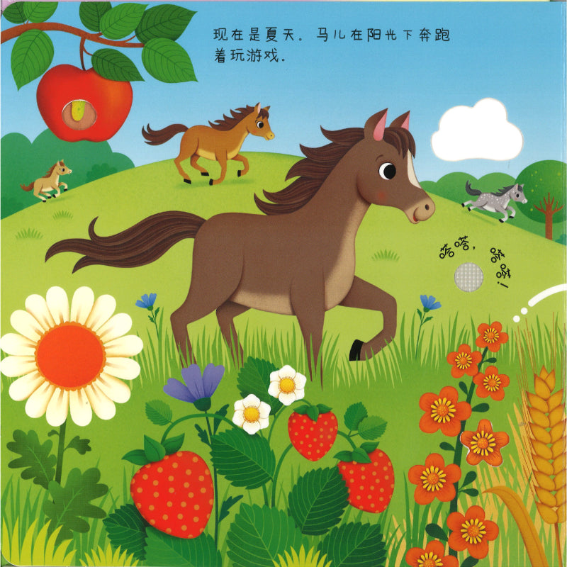 春夏秋冬谁在叫 Usborne Sound Books Seasons Sounds 9787544888691 | Singapore Chinese Bookstore | Maha Yu Yi Pte Ltd