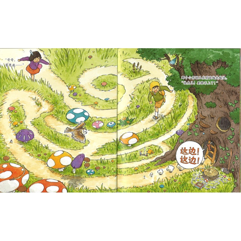 托玛和艾玛绘本系列:迷宫之城 9787551175463 | Singapore Chinese Bookstore | Maha Yu Yi Pte Ltd