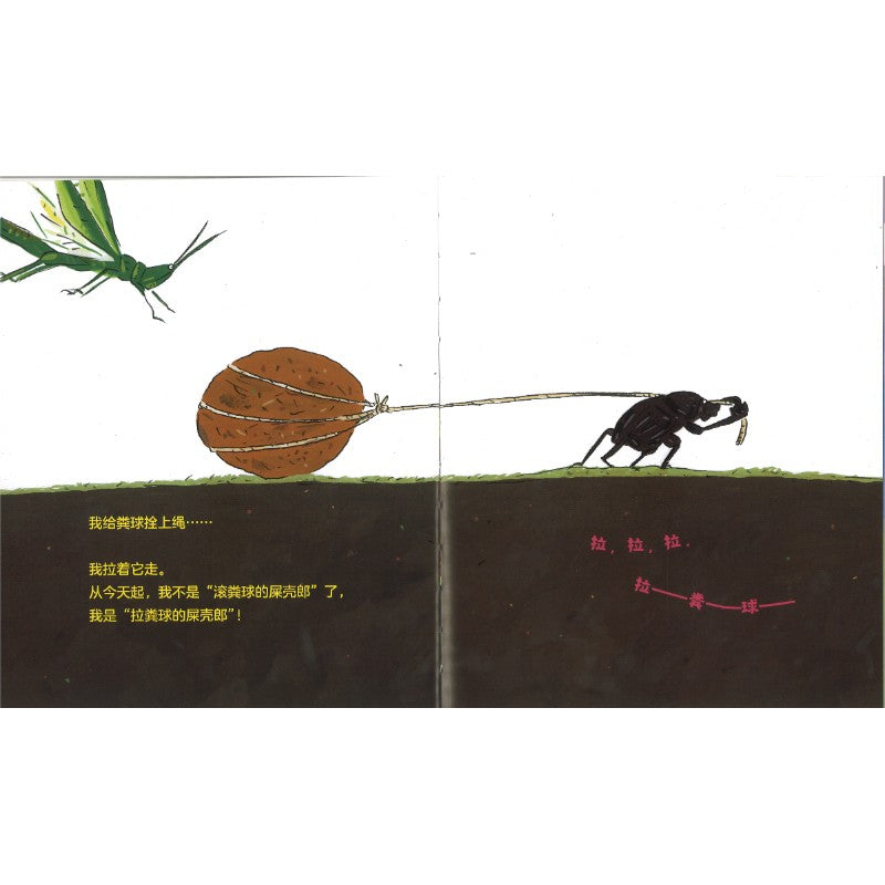 不滚粪球的屎壳郎 9787556282876 | Singapore Chinese Bookstore | Maha Yu Yi Pte Ltd