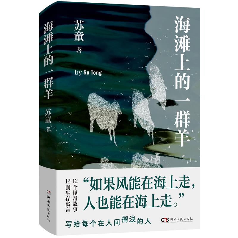 海滩上的一群羊 9787572624148 | Singapore Chinese Bookstore | Maha Yu Yi Pte Ltd