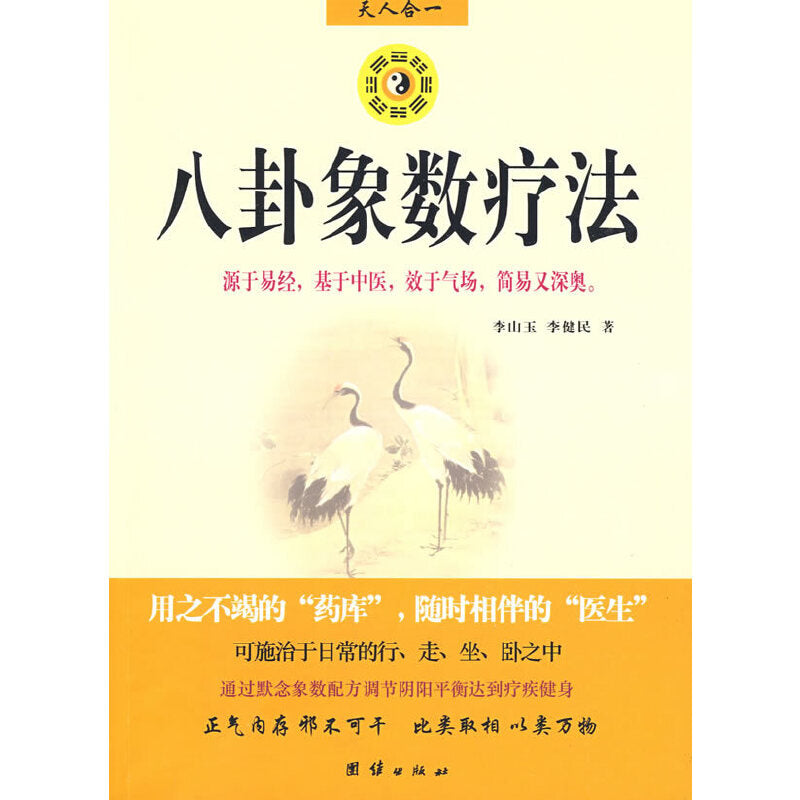 八卦象数疗法 9787802143395 | Singapore Chinese Bookstore | Maha Yu Yi Pte Ltd