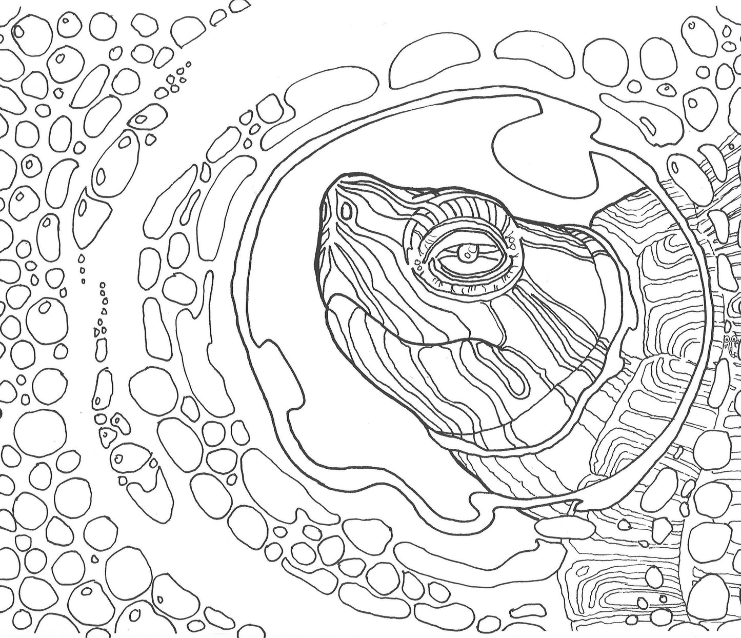 我的小红点.河流历险篇 9789810998523 | Singapore Chinese Bookstore | Maha Yu Yi Pte Ltd