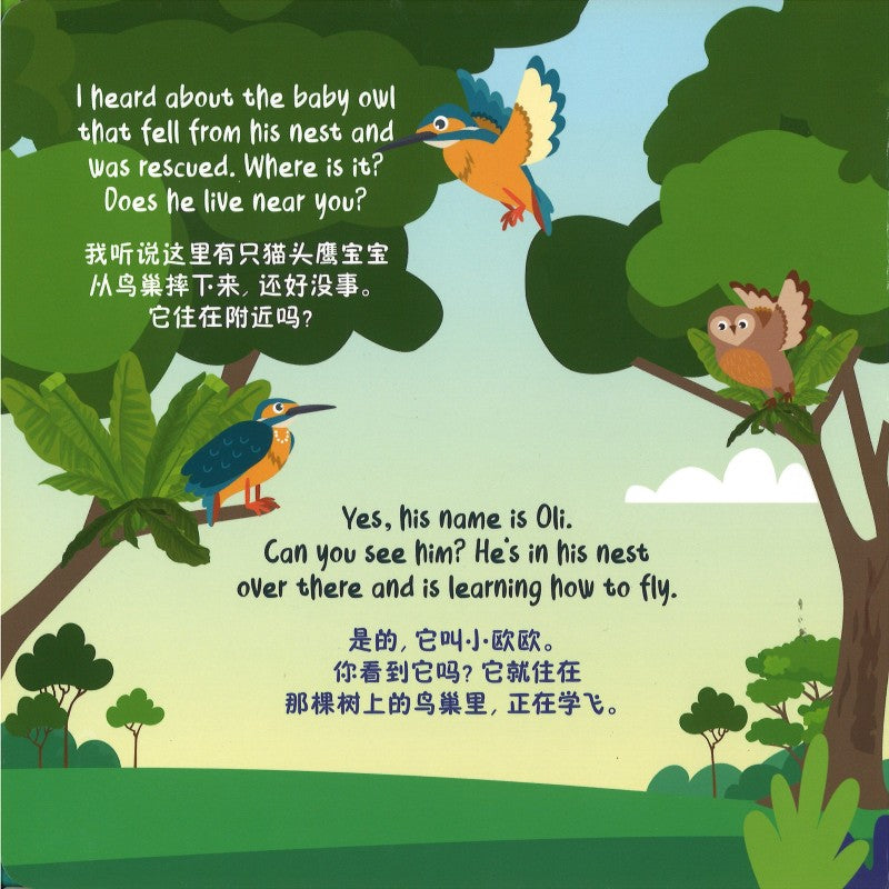 Fly, Oli, Fly 飞吧,小欧欧 9789811841279 | Singapore Chinese Bookstore | Maha Yu Yi Pte Ltd