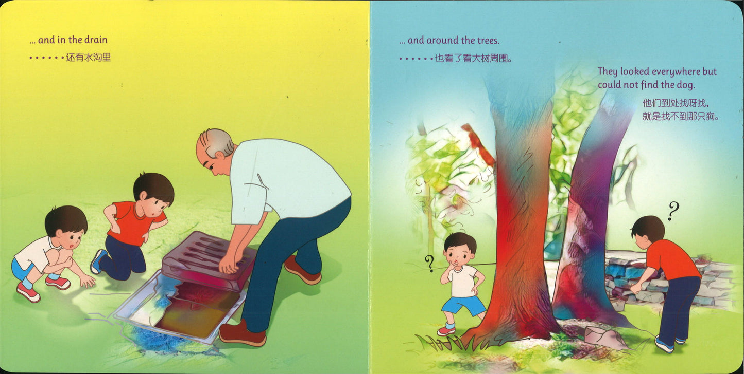 The Little Detectives 小小侦探(set of 4)