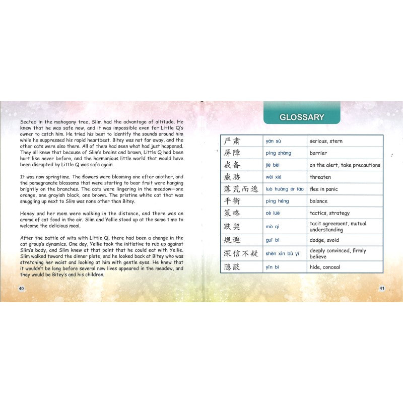 智勇双全黄小瘦 Slim the Cat with Brains and Brawn 9789815200836 | Singapore Chinese Bookstore | Maha Yu Yi Pte Ltd