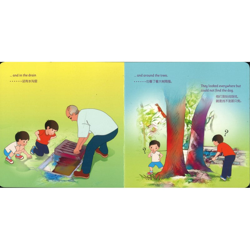 Where Is The Dog? 狗狗在哪里?