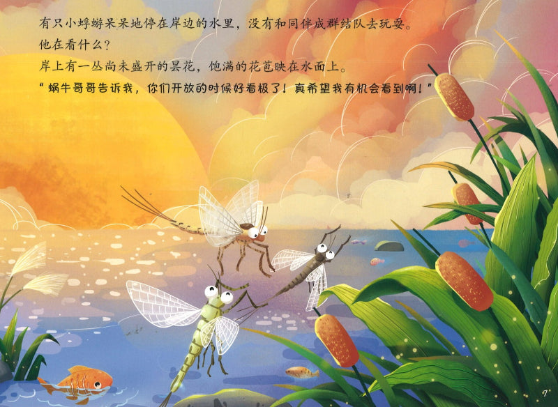 蜉蝣的一生 9787115568502 | Singapore Chinese Books | Maha Yu Yi Pte Ltd