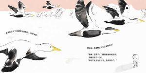 9787221115225 艾丽丝和艾萨克 Iris and Isaac | Singapore Chinese Books