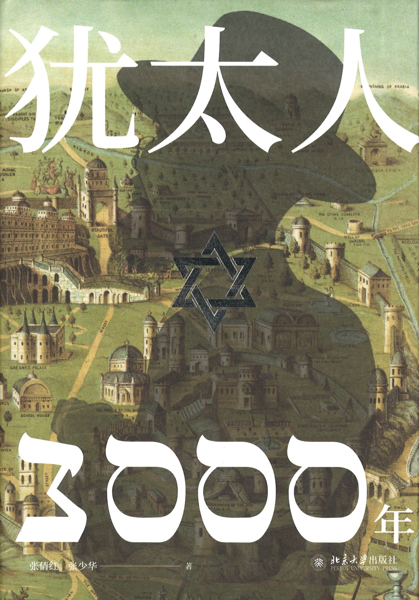 犹太人3000年 9787301307731 | Singapore Chinese Books | Maha Yu Yi Pte Ltd