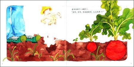 9787504190079 拔萝卜 The Giant Turnip | Singapore Chinese Books