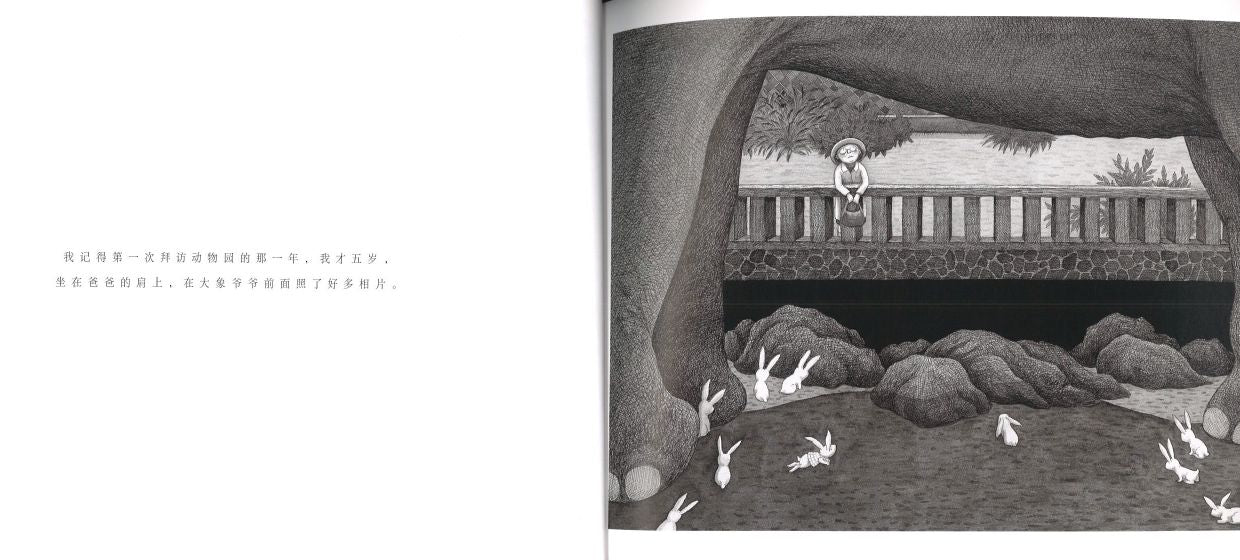 9787510873546 谢谢你毛毛兔,这个下午真好玩 Thank you, Furry Bunny, for a Wonderful Afternoon(平装) | Singapore Chinese Books