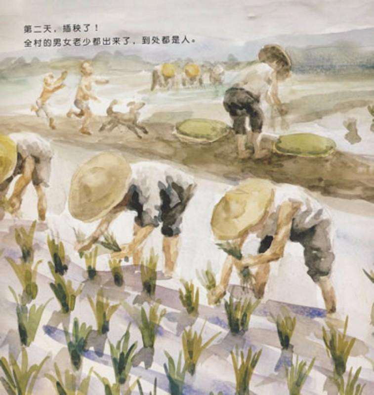 9787533262266 求雨 | Singapore Chinese Books