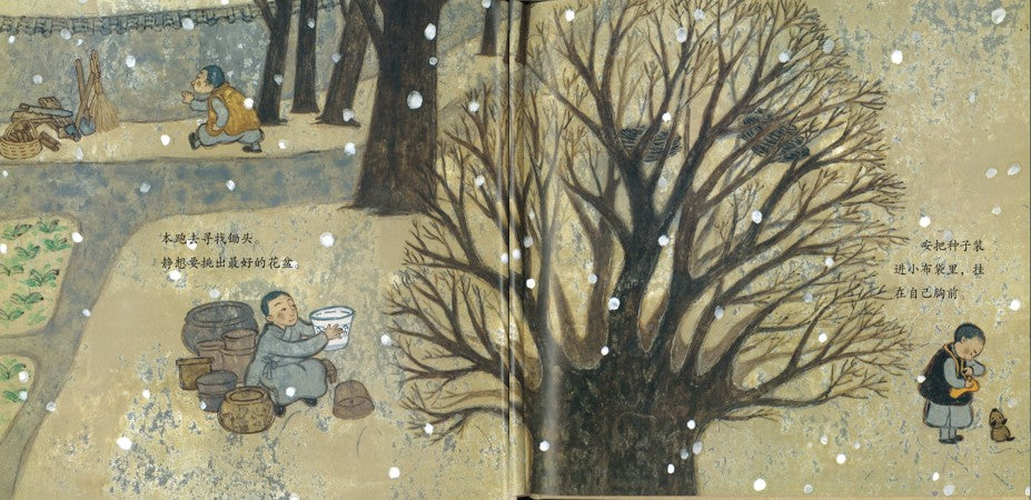 安的种子(丰子恺儿童图画书奖”优秀儿童图画书奖”) 9787535062888 | Singapore Chinese Books | Maha Yu Yi Pte Ltd