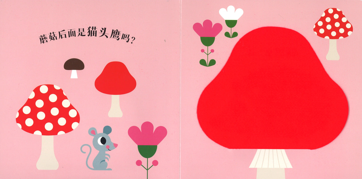 晚安,猫头鹰 Where's Mr Owl? 9787541765704 | Singapore Chinese Books | Maha Yu Yi Pte Ltd