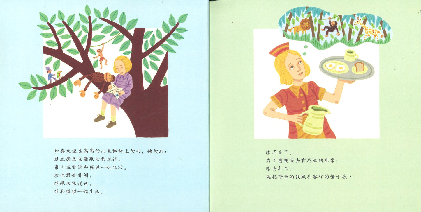 观察者:珍·古道尔和黑猩猩在一起的生活 The Watcher: Jane Goodall's Life with the Chimps 9787550267091 | Singapore Chinese Books | Maha Yu Yi Pte Ltd