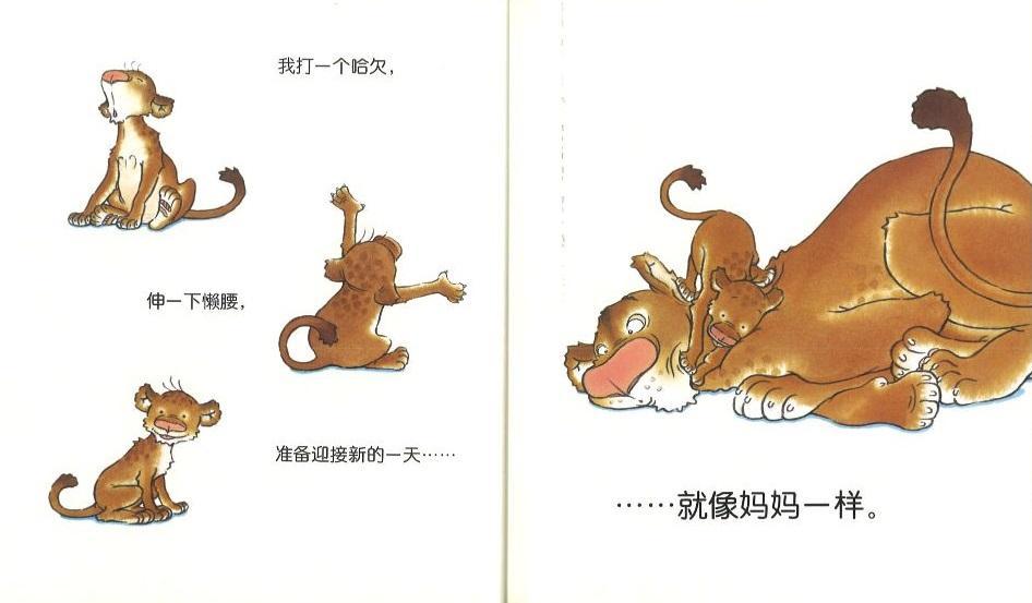 9787553511009 像妈妈一样 Just Like My Mum | Singapore Chinese Books