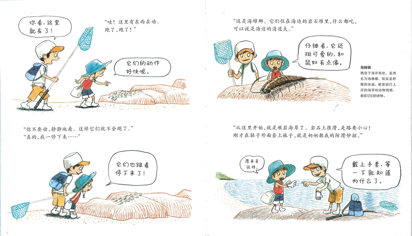 一起在海边探险 9787554559796 | Singapore Chinese Books | Maha Yu Yi Pte Ltd