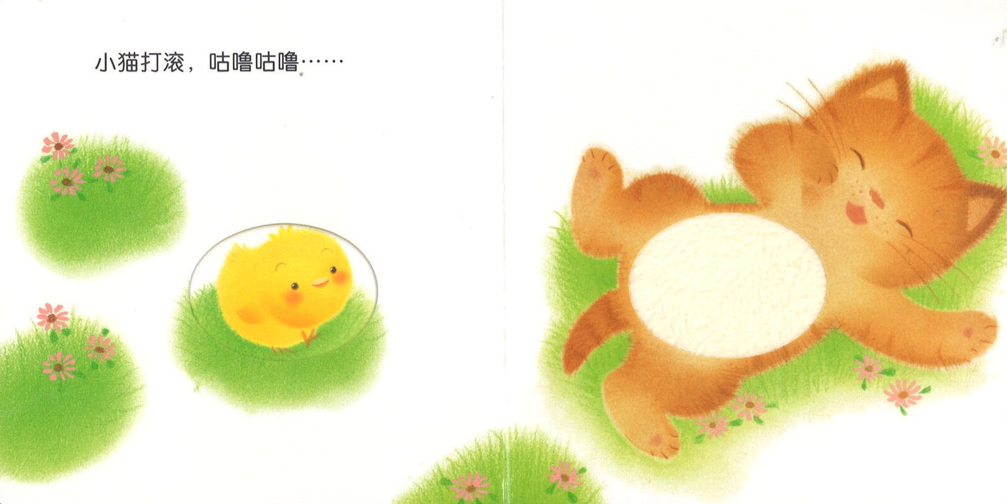 小鸡球球触感玩具书(全5册)(*OFFER) 9787556054336SET | Singapore Chinese Books | Maha Yu Yi Pte Ltd