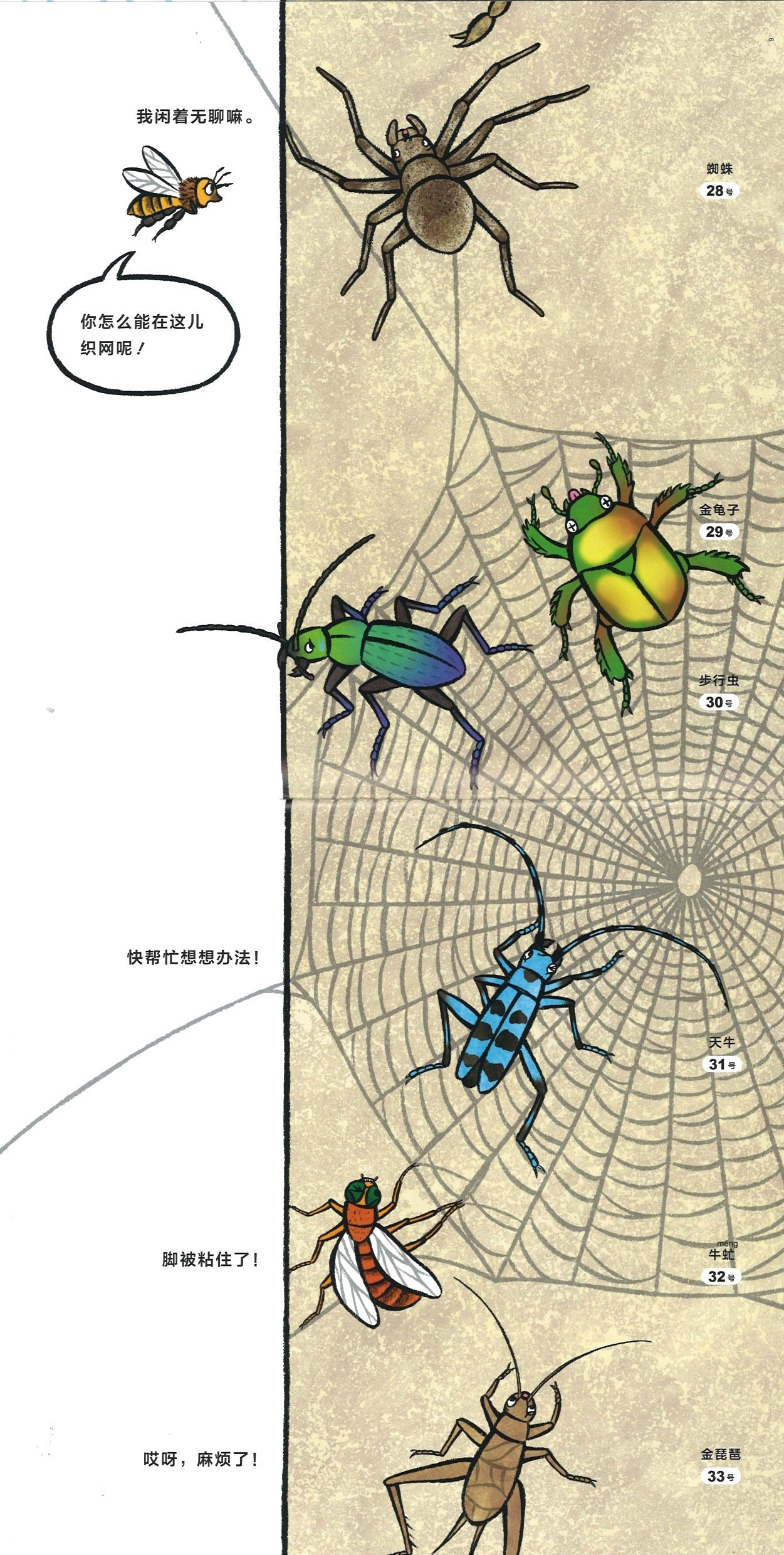 它们在排什么队? 9787556850259 | Singapore Chinese Books | Maha Yu Yi Pte Ltd