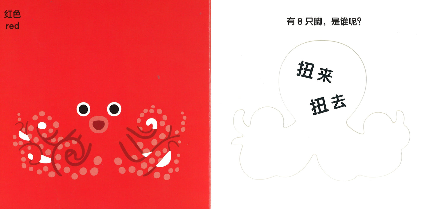 海洋动物捉迷藏 9787556852222 | Singapore Chinese Books | Maha Yu Yi Pte Ltd