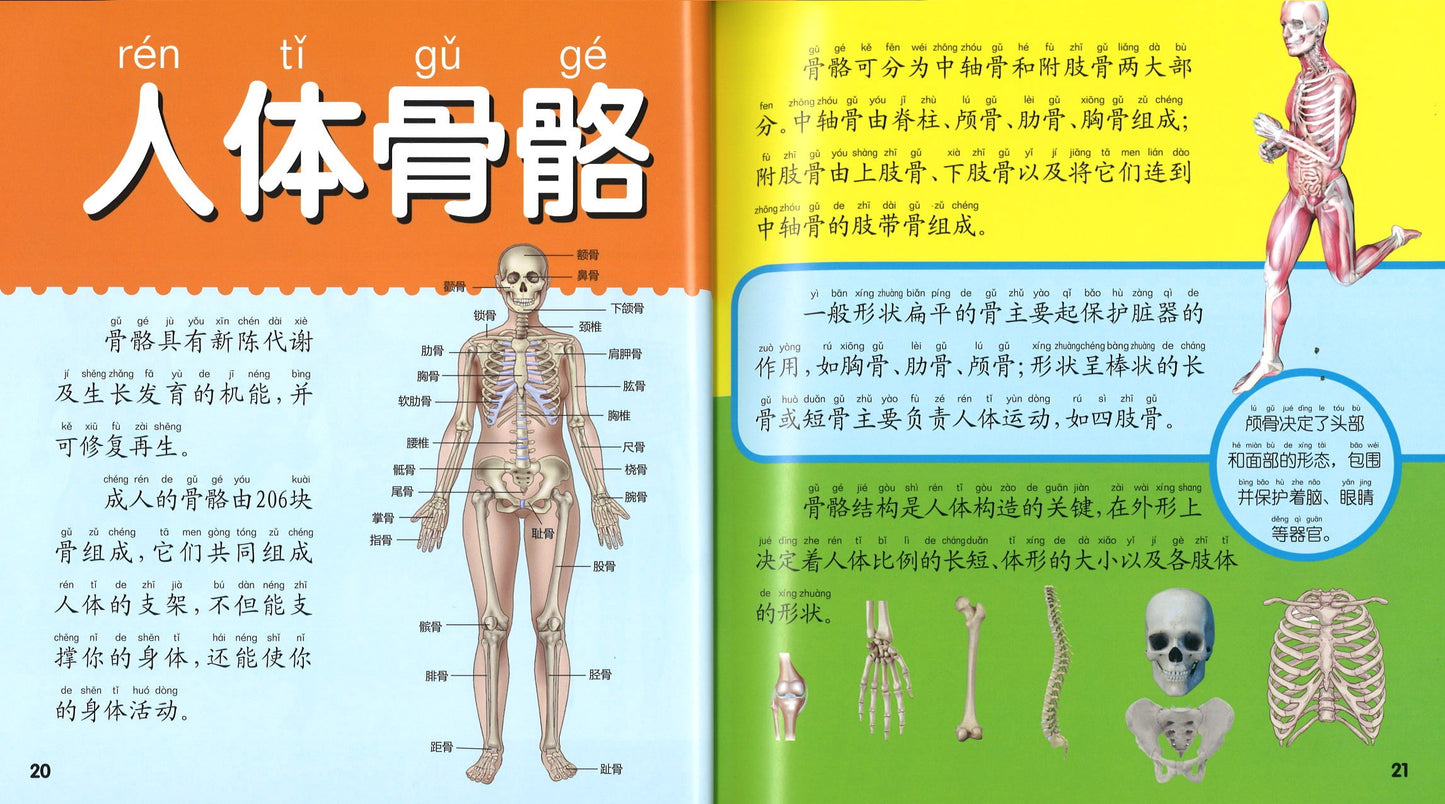 人体大百科(拼音) 9787557534875 | Singapore Chinese Books | Maha Yu Yi Pte Ltd