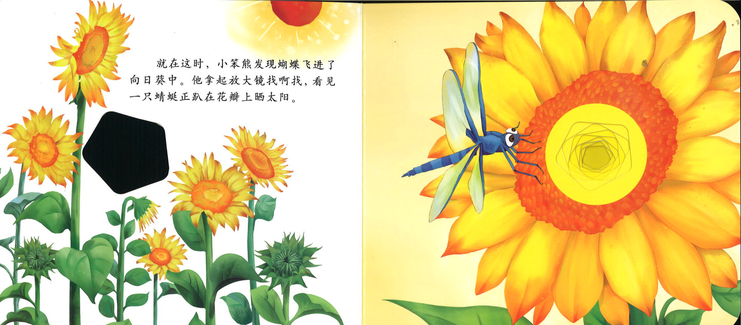 小笨熊的放大镜 9787559365347XB | Singapore Chinese Books | Maha Yu Yi Pte Ltd