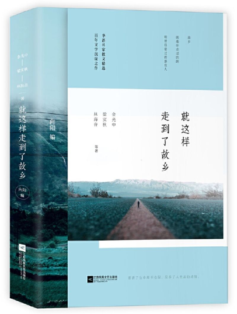 9787559403834 就这样走到了故乡 | Singapore Chinese Books