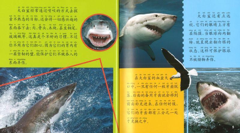 9787568122825 海洋动物大百科(拼音) | Singapore Chinese Books