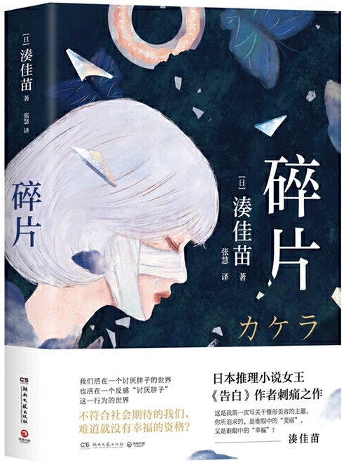 碎片 9787572601521 | Singapore Chinese Books | Maha Yu Yi Pte Ltd