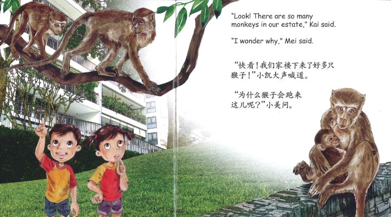 9789811452499 猕猴来到了我们家 Macaques in our Estate (BIG book)| Singapore Chinese Books