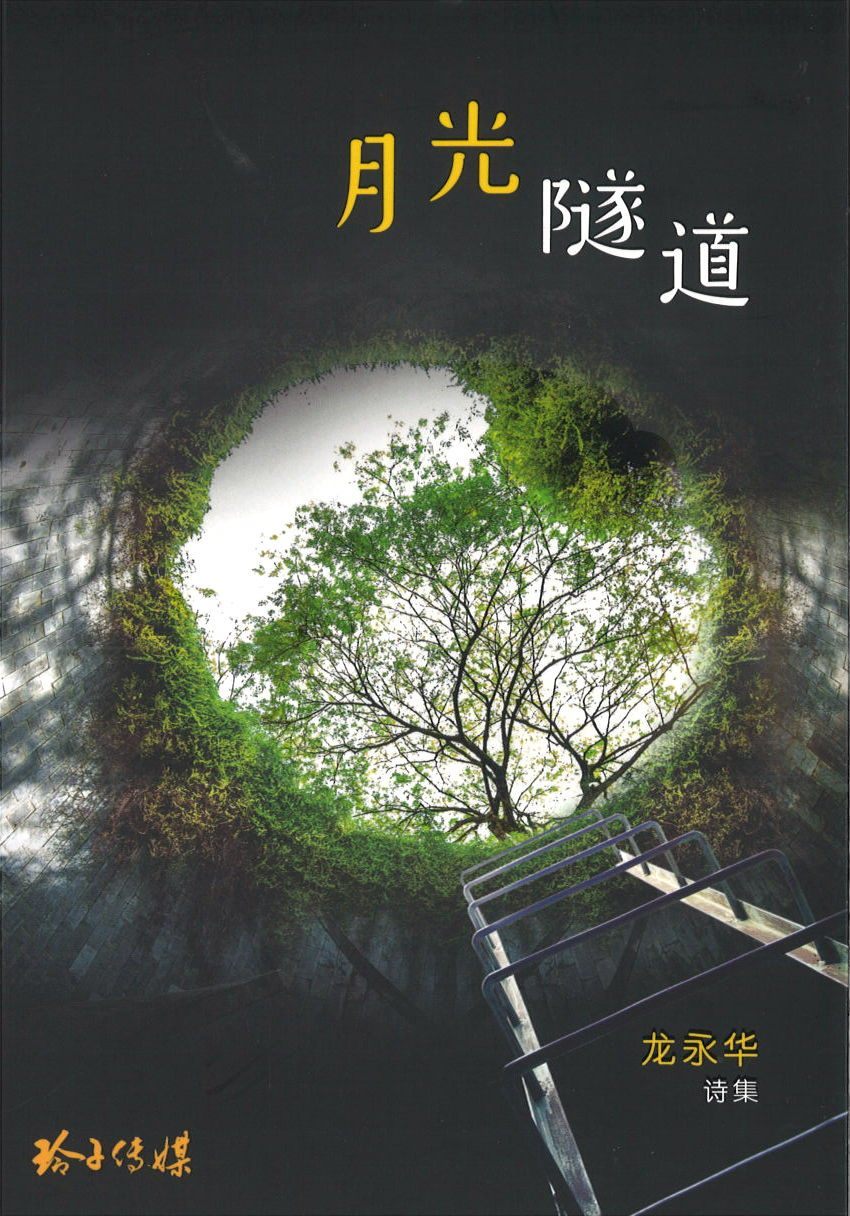 9789814856065 月光隧道 | Singapore Chinese Books