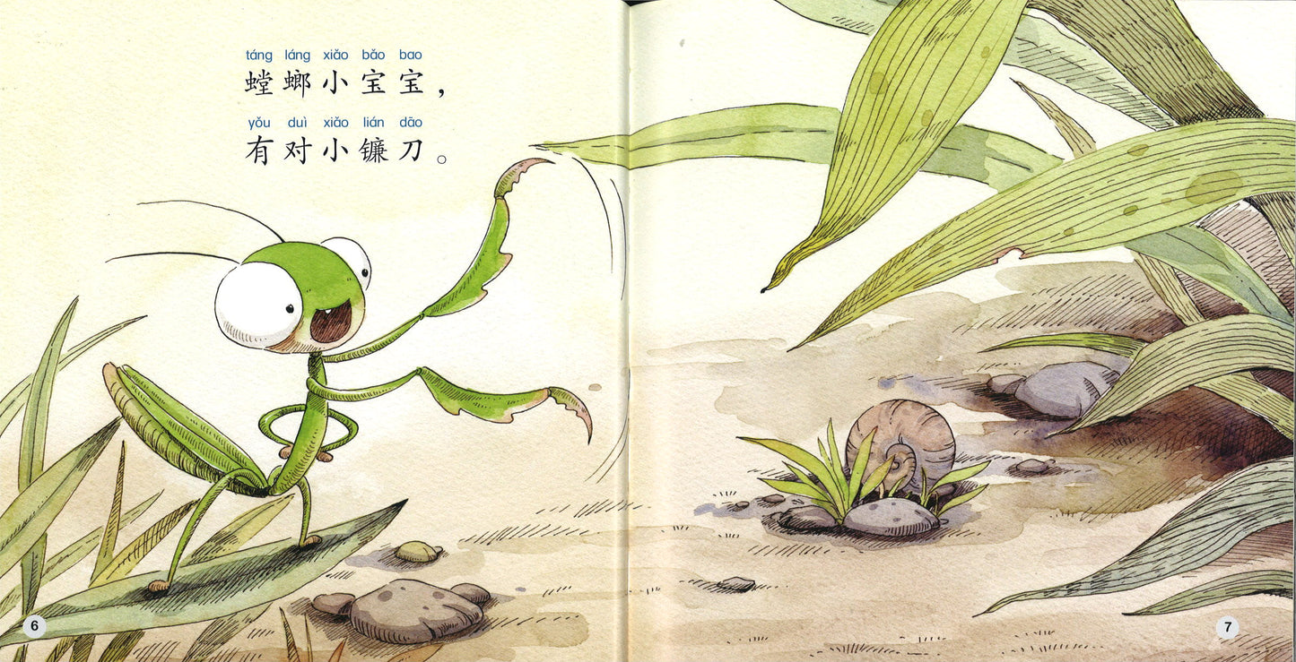 螳螂小谣曲(拼音) The Ballad of the Praying Mantis 9789814929493 | Singapore Chinese Books | Maha Yu Yi Pte Ltd