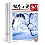 2024年 《微型小说选刊》杂志订阅 （1年共24期）Magazine Subscription 10053840-24 | Singapore Chinese Books | Maha Yu Yi Pte Ltd