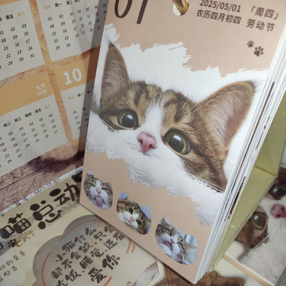 Chinese Desk Calendars - 2025年喵喵总动员 365天日历 6942413532973 | Singapore Chinese Bookstore | Maha Yu Yi Pte Ltd