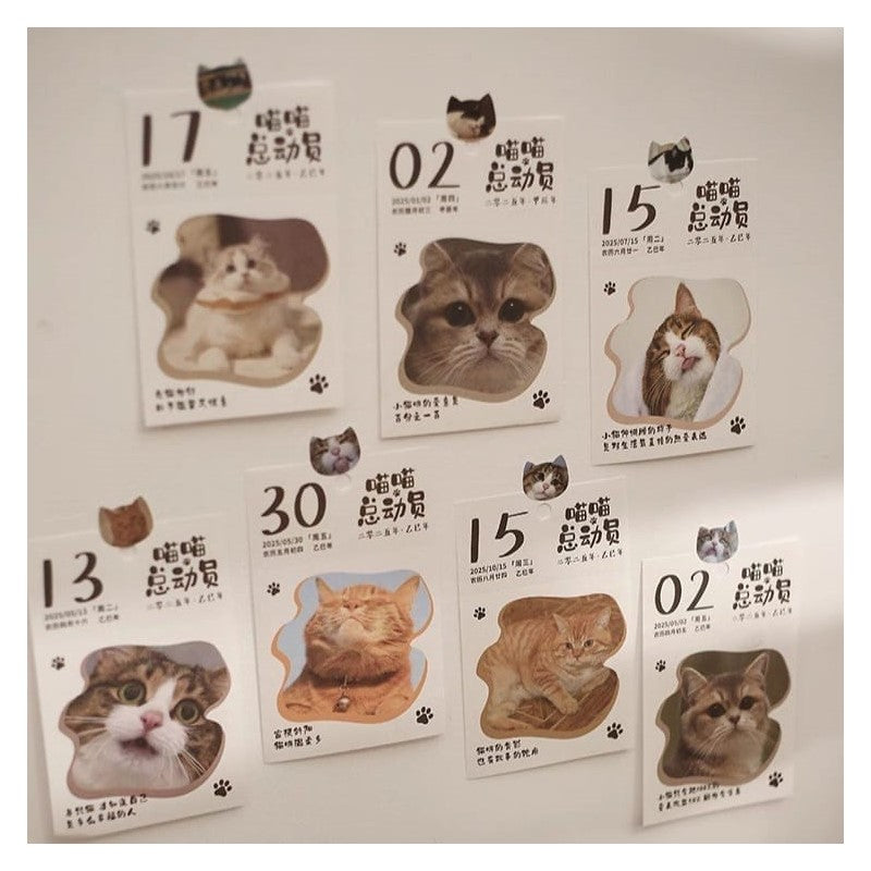 Chinese Desk Calendars - 2025年喵喵总动员 365天日历 6942413532973 | Singapore Chinese Bookstore | Maha Yu Yi Pte Ltd