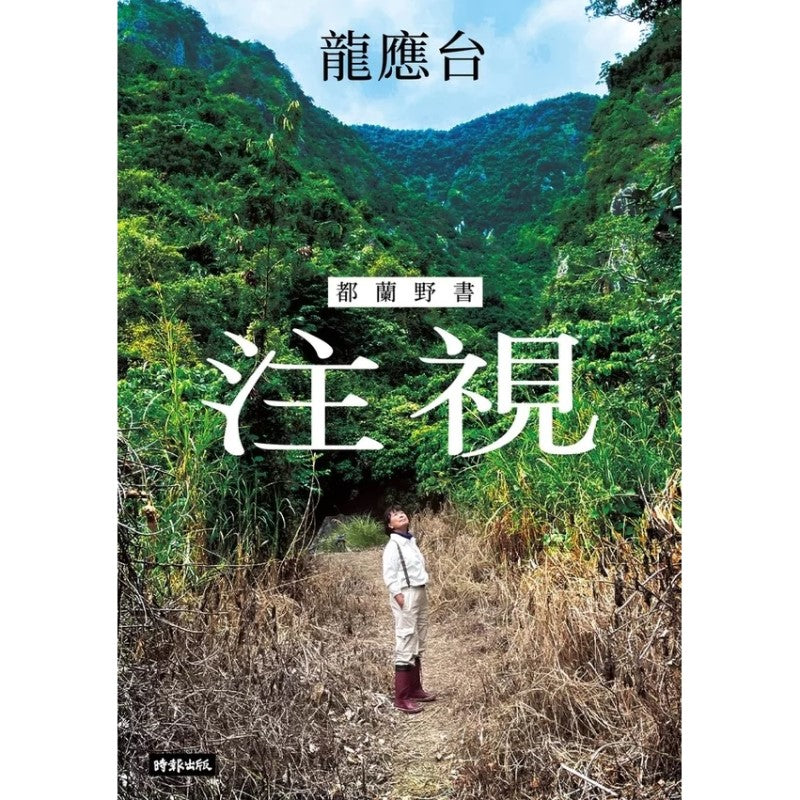 注视：都兰野书（繁体版）  9786263968615 | Singapore Chinese Bookstore | Maha Yu Yi Pte Ltd