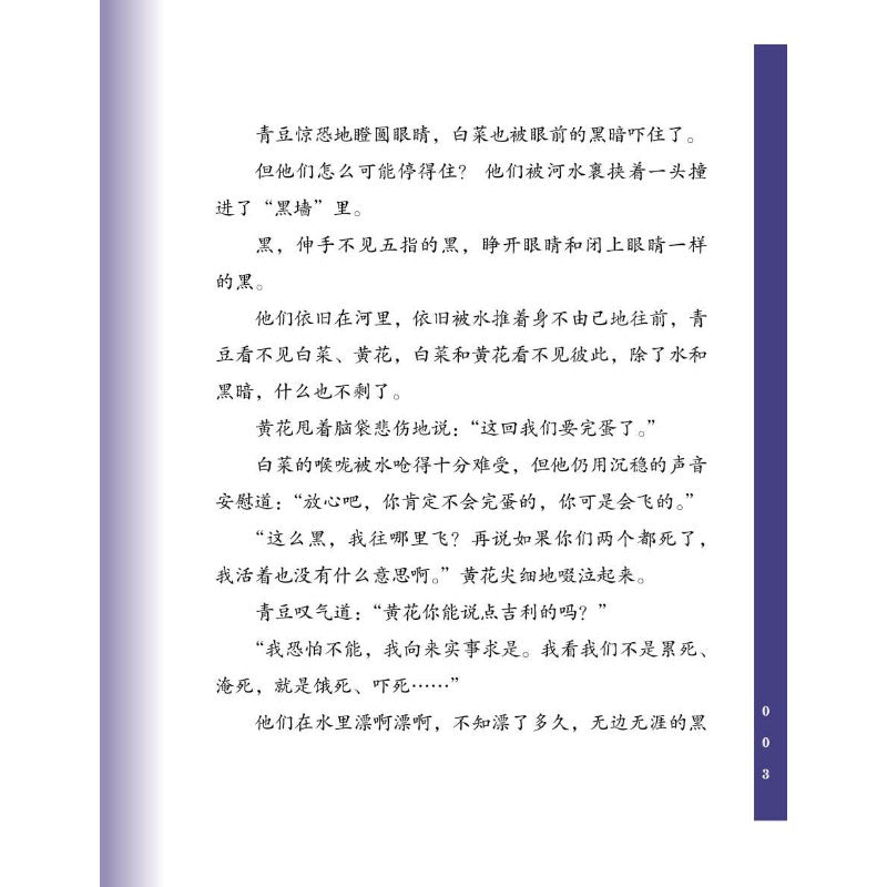 汤汤幻野故事簿.04：昼夜鸟  9786294740501 | Singapore Chinese Bookstore | Maha Yu Yi Pte Ltd