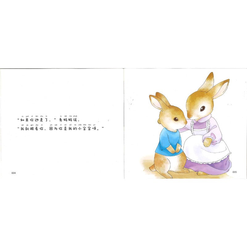 逃家小兔系列绘本（全6册）（拼音）  9787221188625 | Singapore Chinese Bookstore | Maha Yu Yi Pte Ltd