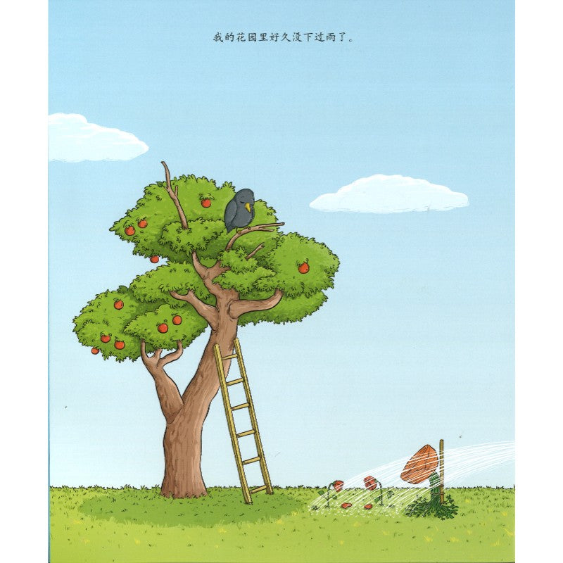 我的花园有大海 Teddy and the Great Flood 9787521772852 | Singapore Chinese Bookstore | Maha Yu Yi Pte Ltd