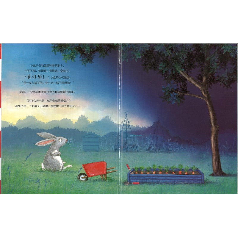小兔子的饼干盒 The Rabbit, the Dark, and the Cookie Tin 9787521772869 | Singapore Chinese Bookstore | Maha Yu Yi Pte Ltd