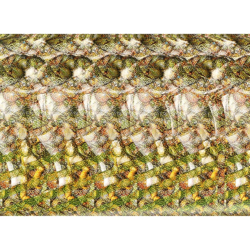 神奇的眼睛体操3D训练：改善视力的3D视觉游戏书 Startling Stereograms 9787531751236 | Singapore Chinese Books | Maha Yu Yi Pte Ltd