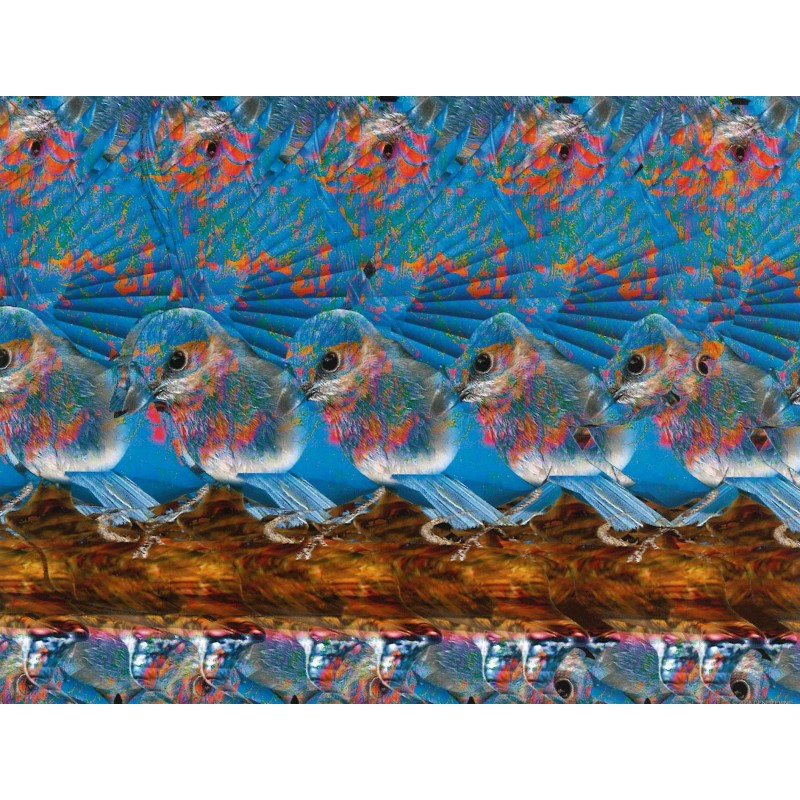 神奇的眼睛体操3D训练：改善视力的3D视觉游戏书 Startling Stereograms 9787531751236 | Singapore Chinese Books | Maha Yu Yi Pte Ltd