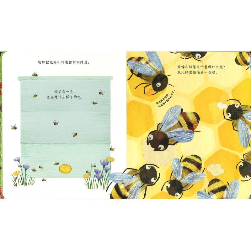 蜜蜂的房子 Peep Inside a Beehive 9787544864510 | Singapore Chinese Bookstore | Maha Yu Yi Pte Ltd