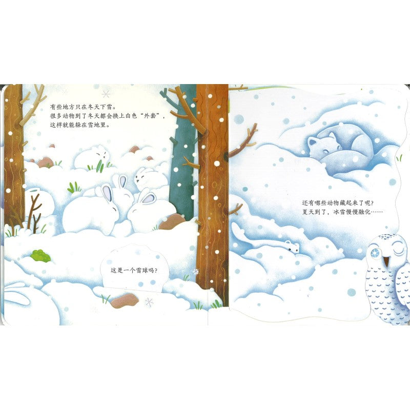 冰雪世界 Peep Inside Snowy Places 9787544865463 | Singapore Chinese Bookstore | Maha Yu Yi Pte Ltd