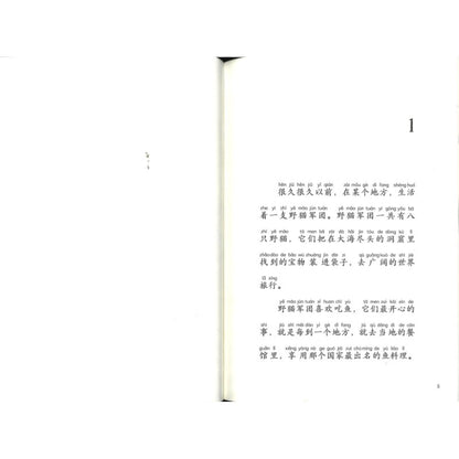 野猫军团桥梁书系列：魔法贝壳（拼音）  9787544883214 | Singapore Chinese Bookstore | Maha Yu Yi Pte Ltd